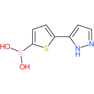 [5-(1h-pyrazol-5-yl)-2-thienyl]boronic acid