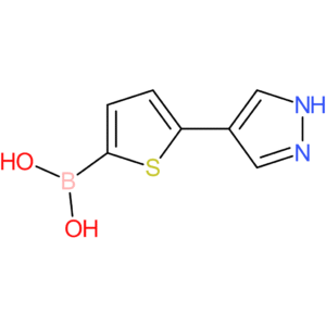 [5-(1h-pyrazol-4-yl)-2-thienyl]boronic acid