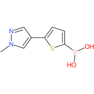 [5-(1-methyl-1h-pyrazol-4-yl)-2-thienyl]boronic acid