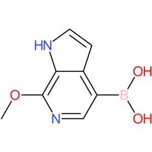 7-methoxy-1h-pyrrolo[2,3-c]pyridin-4-ylboronic acid
