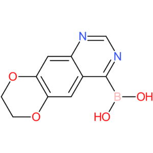 7,8-dihydro-[1,4]dioxino[2,3-g]quinazolin-4-ylboronic acid