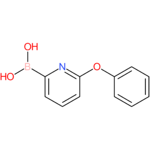 6-phenoxypyridin-2-ylboronic acid