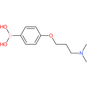 4-(3-(dimethylamino)propoxy)phenylboronic acid