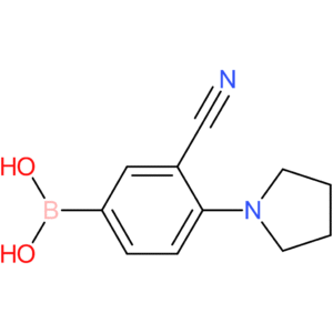 3-cyano-4-pyrrolidinophenylboronic acid