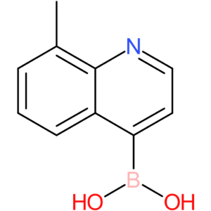 (8-methylquinolin-4-yl)boronic acid