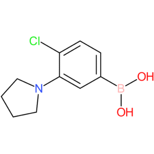 [4-chloro-3-(pyrrolidin-1-yl)phenyl]boronic acid
