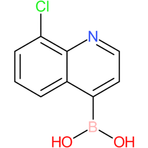 (8-chloroquinolin-4-yl)boronic acid