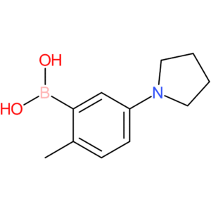 [2-methyl-5-(pyrrolidin-1-yl)phenyl]boronic acid