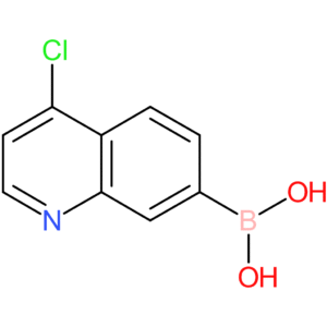 (4-chloroquinolin-7-yl)boronic acid