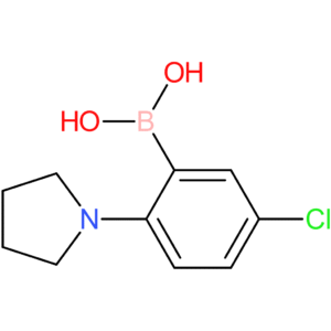 [5-chloro-2-(pyrrolidin-1-yl)phenyl]boronic acid