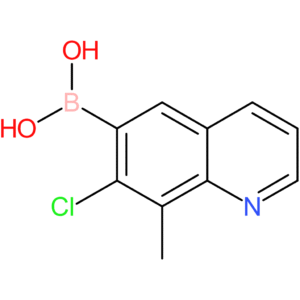 (7-chloro-8-methylquinolin-6-yl)boronic acid