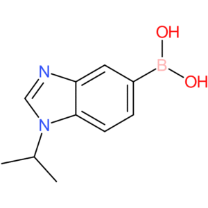 (1-isopropyl-1,3-benzodiazol-5-yl)boronic acid