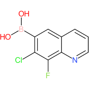 (7-chloro-8-fluoroquinolin-6-yl)boronic acid