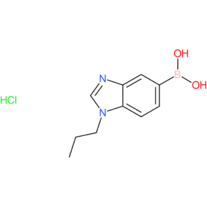 (1-propyl-1,3-benzodiazol-5-yl)boronic acid hydrochloride
