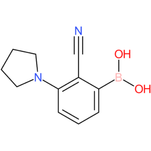 [2-cyano-3-(pyrrolidin-1-yl)phenyl]boronic acid