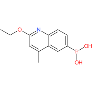 (2-ethoxy-4-methylquinolin-6-yl)boronic acid