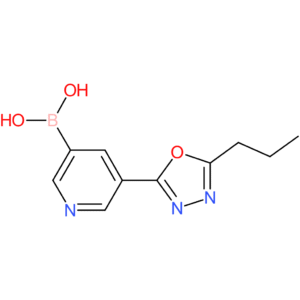 [5-(5-propyl-1,3,4-oxadiazol-2-yl)pyridin-3-yl]boronic acid