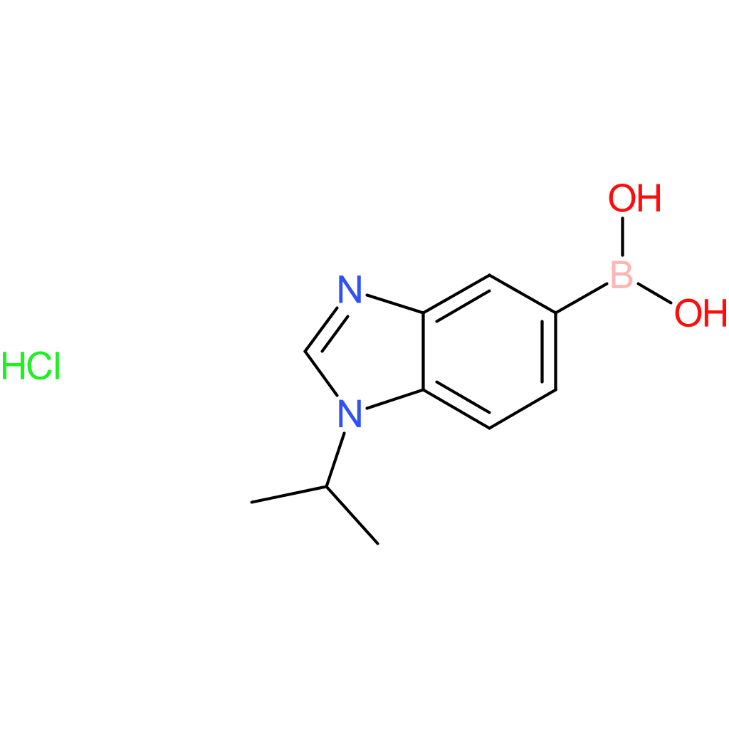 (1-isopropyl-1,3-benzodiazol-5-yl)boronic acid hydrochloride