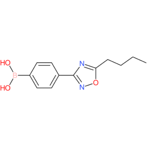 [4-(5-butyl-1,2,4-oxadiazol-3-yl)phenyl]boronic acid