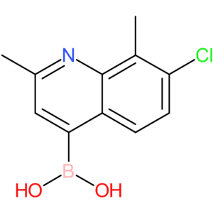(7-chloro-2,8-dimethylquinolin-4-yl)boronic acid