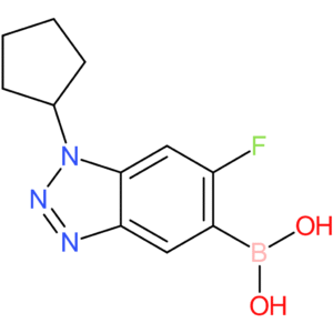 (1-cyclopentyl-6-fluoro-1,2,3-benzotriazol-5-yl)boronic acid
