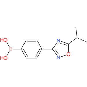 [4-(5-isopropyl-1,2,4-oxadiazol-3-yl)phenyl]boronic acid