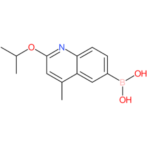 (2-isopropoxy-4-methylquinolin-6-yl)boronic acid