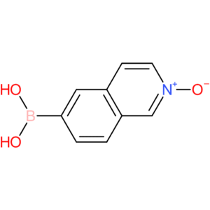 6-(dihydroxyboranyl)isoquinolin-2-ium-2-olate