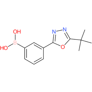 [3-(5-tert-butyl-1,3,4-oxadiazol-2-yl)phenyl]boronic acid