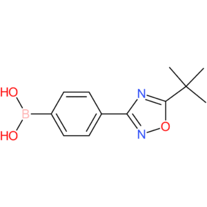 [4-(5-tert-butyl-1,2,4-oxadiazol-3-yl)phenyl]boronic acid