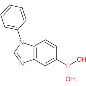 (1-phenyl-1,3-benzodiazol-5-yl)boronic acid