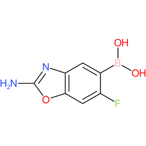 (2-amino-6-fluoro-1,3-benzoxazol-5-yl)boronic acid