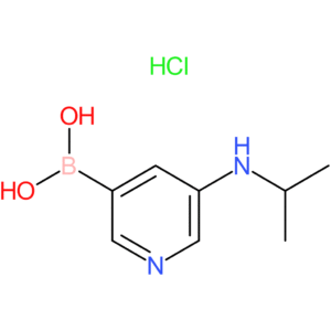 5-(isopropylamino)pyridin-3-ylboronic acid hydrochloride