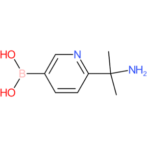 6-(2-aminopropan-2-yl)pyridine-3-boronic acid