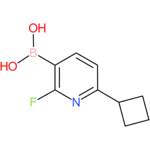 2-fluoro-6-(cyclobutyl)pyridine-3-boronic acid