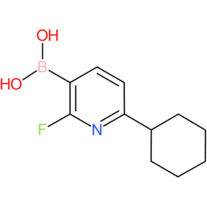 2-fluoro-6-(cyclohexyl)pyridine-3-boronic acid