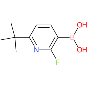 2-fluoro-6-(tert-butyl)pyridine-3-boronic acid