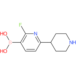 2-fluoro-6-(piperidin-4-yl)pyridine-3-boronic acid