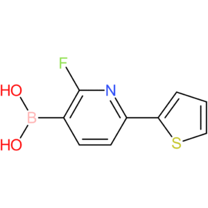 2-fluoro-6-(2-thienyl)pyridine-3-boronic acid