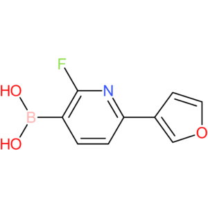 2-fluoro-6-(3-furyl)pyridine-3-boronic acid