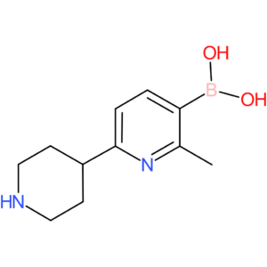 2-methyl-6-(piperidin-4-yl)pyridine-3-boronic acid