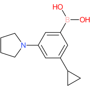 3-cyclopropyl-5-(pyrrolidino)phenylboronic acid