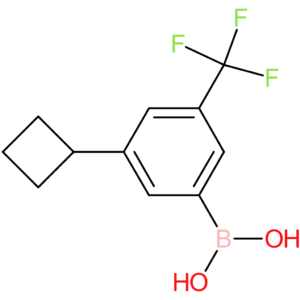 3-trifluoromethyl-5-(cyclobutyl)phenylboronic acid