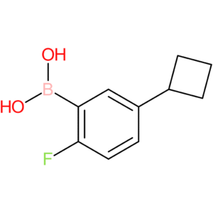 (5-cyclobutyl-2-fluorophenyl)boronic acid