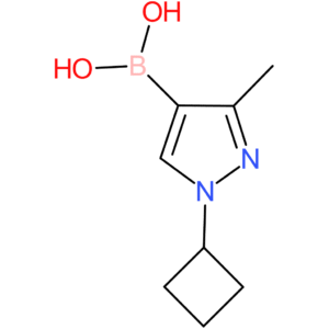3-methyl-1-(cyclobutyl)pyrazolE-4-boronic acid