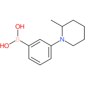 3-(2-methylpiperidino)phenylboronic acid