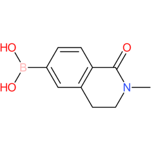 b-(1,2,3,4-tetrahydro-2-methyl-1-oxo-6-isoquinolinyl)boronic acid