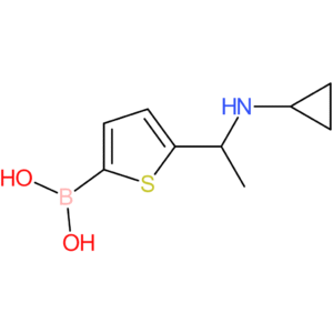 5-[1-(cyclopropylamino)ethyl]-2-thienylboronic acid