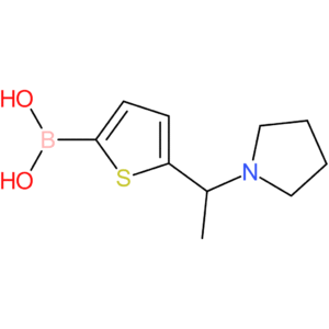 5-[1-(1-pyrrolidinyl)ethyl]-2-thienylboronic acid
