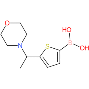 5-[1-(4-morpholinyl)ethyl]-2-thienylboronic acid